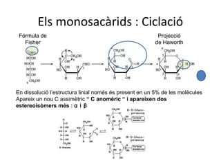 Els monosacàrids : Ciclació
 Fórmula de                                              Projecció
   Fisher                                               de Haworth




En dissolució l’estructura linial només és present en un 5% de les molècules
Apareix un nou C assimètric “ C anomèric “ i apareixen dos
estereoisòmers més : α i β
 