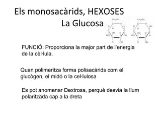 Els monosacàrids, HEXOSES
          La Glucosa

 FUNCIÓ: Proporciona la major part de l’energia
 de la cèl·lula.


 Quan polimeritza forma polisacàrids com el
 glucògen, el midó o la cel·lulosa

 Es pot anomenar Dextrosa, perquè desvia la llum
 polaritzada cap a la dreta
 