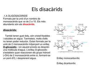 Els disacàrids
.1.A OLIGOSACÀRIDS
Formats per la unió d'un nombre de
monosacàrids que va de 2 a 10. Els més
abundants són els disacàrids.

disacàrids:

   També tenen gust dolç, són cristal·litzables
i solubles en aigua. Tanmateix, molts d'ells
no tenen poder reductor. Estan formats per la
unió de 2 monosacàrids mitjançant un enllaç
O-glicosídic, i en aquest procés es desprèn
una molècula d'aigua. L'enllaç O-glicosídic
s'estableix quan reaccionen els grups hidroxil
(-OH) de 2 monosacàrids entre si, formant-se
un pont d'O, i desprenent aigua.                  Enllaç monocarbonílic

                                                  Enllaç dicarbonílic
 