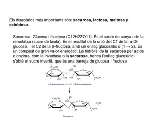Els disacàrids més importants són: sacarosa, lactosa, maltosa y
celobiosa.

  Sacarosa: Glucosa i fructosa (C12H22O11). És el sucre de canya i de la
  remolatxa (sucre de taula). És el resultat de la unió del C1 de la α-D-
  glucosa, i el C2 de la β-fructosa, amb un enllaç glucosídic α (1 → 2). És
  un compost de gran valor energètic. La hidròlisi de la sacarosa per àcids
  o enzims, com la invertasa o la sacarasa, trenca l'enllaç glucosídic i
  s'obté el sucre invertit, que és una barreja de glucosa i fructosa
 