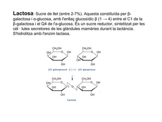 Lactosa: Sucre de llet (entre 2-7%). Aquesta constituïda per β-
galactosa i α-glucosa, amb l'enllaç glucosídic β (1 → 4) entre el C1 de la
β-galactosa i el Q4 de l'a-glucosa. És un sucre reductor, sintetitzat per les
cèl · lules secretores de les glàndules mamàries durant la lactància.
S'hidrolitza amb l'enzim lactasa.
 