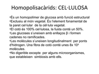 Homopolisacàrids: CEL·LULOSA
•És un homopolímer de glucosa amb funció estructural
•Exclusiu al món vegetal. És l’element fonamental de
la paret cel·lular de la cèl·lula vegetal.
•El cotó és 100% cel·lulosa, la fusta conté un 50%.
•Les glucoses s’uneixen amb enllaços β i formen
cadenes no ramificades.
•Les molècules s’uneixen longitudinalment per ponts
d'hidrogen. Una fibra de cotó conté unes 8x 108
molècules.
•No digerible excepte per alguns microorganismes,
que estableixen simbiosis amb ells.
 