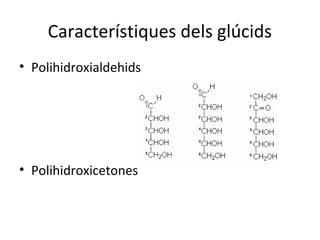 Característiques dels ú
• Polihidroxialdehids




• Polihidroxicetones
 