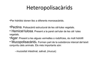 Heteropolisacàrids
•Per hidròlisi donen lloc a diferents monosacàrids.

•Pectina. Polisacàrid estructural de les cèl·lules vegetals.
• Hemicel·lulosa. Present a la paret cel·lular de les cèl ·lules
vegetals.
•Agar: Present a les algues vermelles o rodofícies, és molt hidròfil
• Mucopolisacàrids. Formen part de la substància intercel del teixit
conjuntiu dels animals. Els més importants són:

     - mucositat intestinal, salival, (mucus)
 