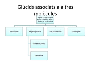 ұú associats a altres
       molècules
 