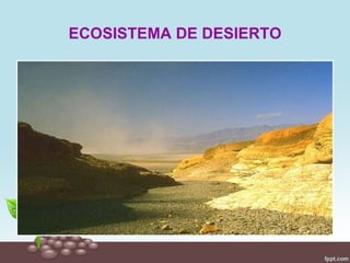 ECOSISTEMA DE DESIERTO
 