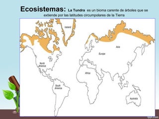 Ecosistemas: La Tundra es un bioma carente de árboles que se
          extiende por las latitudes circumpolares de la Tierra
 