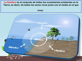 La biosfera es el conjunto de todos los ecosistemas existentes en la
Tierra, es decir, de todos los seres vivos junto con el medio en el que

                                viven
 