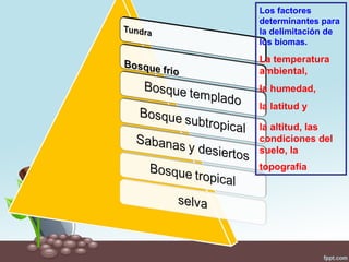 Los factores
determinantes para
la delimitación de
los biomas.

La temperatura
ambiental,
la humedad,
la latitud y

la altitud, las
condiciones del
suelo, la
topografía
 