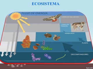 ECOSISTEMA.
 