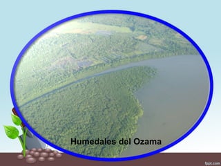 Humedales del Ozama
 