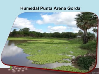 Humedal Punta Arena Gorda
 