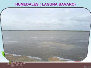 HUMEDALES ( LAGUNA BAVARO)
 