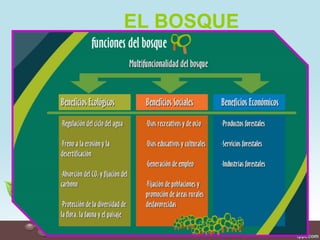 EL BOSQUE
 