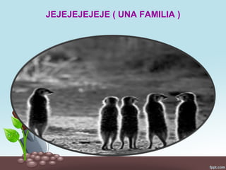 JEJEJEJEJEJE ( UNA FAMILIA )
 