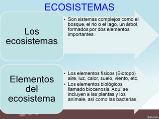 ECOSISTEMAS
 