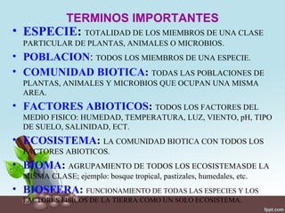 TERMINOS IMPORTANTES
• ESPECIE: TOTALIDAD DE LOS MIEMBROS DE UNA CLASE
  PARTICULAR DE PLANTAS, ANIMALES O MICROBIOS.
• POBLACION: TODOS LOS MIEMBROS DE UNA ESPECIE.
• COMUNIDAD BIOTICA: TODAS LAS POBLACIONES DE
  PLANTAS, ANIMALES Y MICROBIOS QUE OCUPAN UNA MISMA
  AREA.
• FACTORES ABIOTICOS: TODOS LOS FACTORES DEL
  MEDIO FISICO: HUMEDAD, TEMPERATURA, LUZ, VIENTO, pH, TIPO
  DE SUELO, SALINIDAD, ECT.
• ECOSISTEMA: LA COMUNIDAD BIOTICA CON TODOS LOS
  FACTORES ABIOTICOS.
• BIOMA: AGRUPAMIENTO DE TODOS LOS ECOSISTEMASDE LA
  MISMA CLASE; ejemplo: bosque tropical, pastizales, humedales, etc.
• BIOSFERA: FUNCIONAMIENTO DE TODAS LAS ESPECIES Y LOS
  FACTORES FISICOS DE LA TIERRA COMO UN SOLO ECOSISTEMA.
 