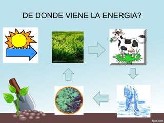 DE DONDE VIENE LA ENERGIA?
 