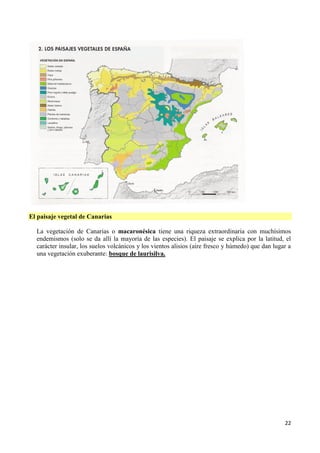 22
El paisaje vegetal de Canarias
La vegetación de Canarias o macaronésica tiene una riqueza extraordinaria con muchísimos...