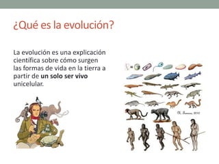 ¿Qué es la evolución?
La evolución es una explicación
científica sobre cómo surgen
las formas de vida en la tierra a
parti...