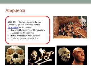Atapuerca
1978-2014. Emiliano Aguirre, Eudald
Carbonell, Ignacio Martínez y otros.
Yacimientos de 12 cuevas.
• Homo heidel...