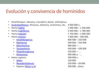Evolución y convivencia de homínidos
• Paranthropus: robustus, crassidens, boisei, aethiopicus.
• Australopithecus: africa...