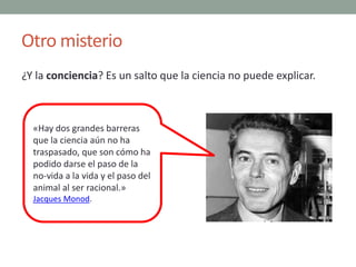 Otro misterio
¿Y la conciencia? Es un salto que la ciencia no puede explicar.
«Hay dos grandes barreras
que la ciencia aún...