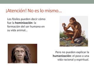 ¡Atención! No es lo mismo…
Los fósiles pueden decir cómo
fue la hominización: la
formación del ser humano en
su vida anima...