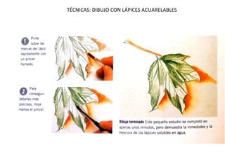 TÉCNICAS: DIBUJO CON LÁPICES ACUARELABLES 