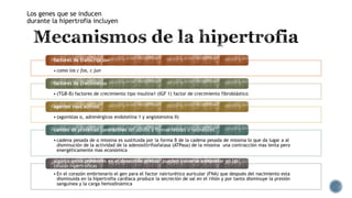 Los genes que se inducen
durante la hipertrofia incluyen

factores de transcripción
• como los c fos, c jun
factores de crecimiento
• (TGB-β) factores de crecimiento tipo insulina1 (IGF 1) factor de crecimiento fibroblástico
agentes vaso activos
• (agonistas α, adrenérgicos endotelina 1 y angiotensina II)
cambio de proteínas contráctiles del adulto a formas fetales o neonatales
• cadena pesada de α miosina es sustituida por la forma β de la cadena pesada de miosina lo que da lugar a al
disminución de la actividad de la adenosiltrifosfatasa (ATPasa) de la miosina una contracción mas lenta pero
energéticamente mas económica
algunos genes presentes en el desarrollo precoz pueden volverse a expresar en las
células hipertróficas
• En el corazón embrionario el gen para el factor natriurético auricular (FNA) que después del nacimiento esta
disminuida en la hipertrofia cardiaca produce la secreción de sal en el riñón y por tanto disminuye la presión
sanguínea y la carga hemodinámica

 