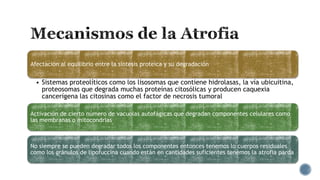 Afectación al equilibrio entre la síntesis proteica y su degradación

• Sistemas proteolíticos como los lisosomas que contiene hidrolasas, la vía ubicuitina,
proteosomas que degrada muchas proteínas citosólicas y producen caquexia
cancerígena las citosinas como el factor de necrosis tumoral
Activación de cierto número de vacuolas autofágicas que degradan componentes celulares como
las membranas o mitocondrias

No siempre se pueden degradar todos los componentes entonces tenemos lo cuerpos residuales
como los gránulos de lipofuccina cuando están en cantidades suficientes tenemos la atrofia parda

 