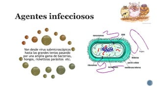Van desde virus submicroscópicos
hasta las grandes tenias pasando
por una amplia gama de bacterias,
hongos, rickettsias parásitos etc.

 
