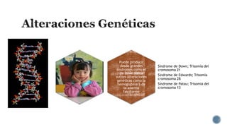 Puede producir
desde grandes
síndromes como el
de Down hasta
sutiles alteraciones
genéticas como la
hemoglobina S de
la anemia
falciforme

Síndrome de Down; Trisomía del
cromosoma 21
Síndrome de Edwards; Trisomía
cromosoma 28
Síndrome de Patau; Trisomía del
cromosoma 13

 