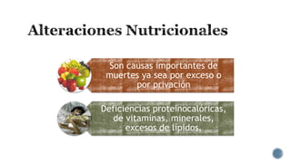 Son causas importantes de
muertes ya sea por exceso o
por privación
Deficiencias proteinocalóricas,
de vitaminas, minerales,
excesos de lípidos.

 