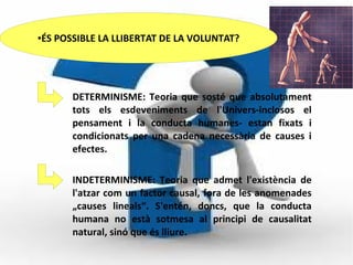Indeterminismo Les preguntes fonamentals de la filosofia | ODP