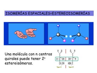 ISOMERÍAS ESPACIALES=ESTEREOISOMERÍAS
Una molécula con n centros
quirales puede tener 2n
estereisómeros.
 