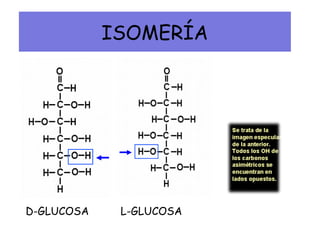 ISOMERÍA
D-GLUCOSA L-GLUCOSA
 