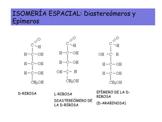 ISOMERÍA ESPACIAL: Diastereómeros y
Epímeros
D-RIBOSA L-RIBOSA
DIASTEREÓMERO DE
LA D-RIBOSA
EPÍMERO DE LA D-
RIBOSA
(D-ARABINOSA)
 