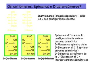 CHO
C
C
OHH
HHO
C OHH
C OHH
CH2OH
D-Glucosa
CHO
C
C
HHO
OHH
C HHO
C OHHO
CH2OH
L-Glucosa
Enantiómeros (imagen especular): Todos
los C con configuración opuesta
Epímeros: difieren en la
configuración de solo un
carbono asimétrico:
D-Manosa es epímero de la
D-Glucosa en el C 2 (primer
carbono asimétrico)
D-Galactosa es epímero de
la D-Glucosa en el C 4
(tercer carbono asimétrico)
¿Enantiómeros, Epímeros o Diastereómeros?
 