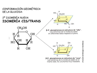 CONFORMACIÓN GEOMÉTRICA
DE LA GLUCOSA:
2ª ISOMERÍA NUEVA
ISOMERÍA CIS/TRANS
 