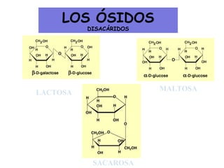 LOS ÓSIDOS
DISACÁRIDOS
LACTOSA
MALTOSA
SACAROSA
 