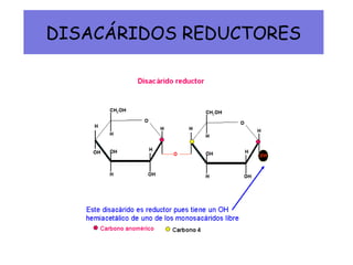 DISACÁRIDOS REDUCTORES
 