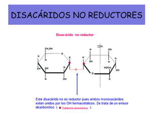 DISACÁRIDOS NO REDUCTORES
 