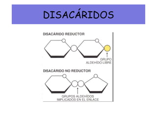 DISACÁRIDOS
 