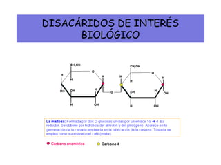 DISACÁRIDOS DE INTERÉS
BIOLÓGICO
 