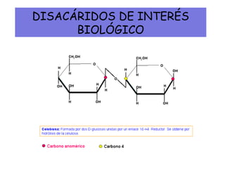 DISACÁRIDOS DE INTERÉS
BIOLÓGICO
 