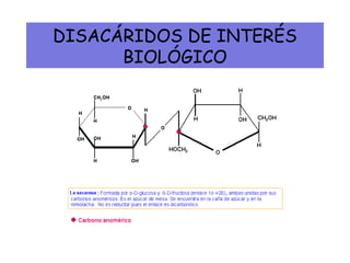 DISACÁRIDOS DE INTERÉS
BIOLÓGICO
 