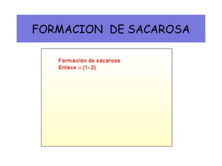 FORMACION DE SACAROSA
 