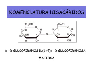 NOMENCLATURA DISACÁRIDOS
D-GLUCOPIRANOS D-GLUCOPIRAN(1->4)α− IL α− OSA
MALTOSA
 