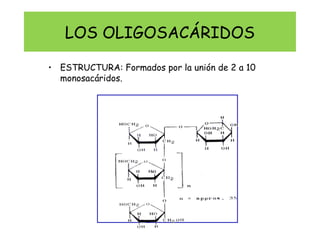 LOS OLIGOSACÁRIDOS
• ESTRUCTURA: Formados por la unión de 2 a 10
monosacáridos.
 